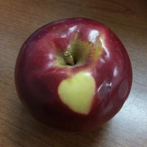 Meet your Posher, Kerry